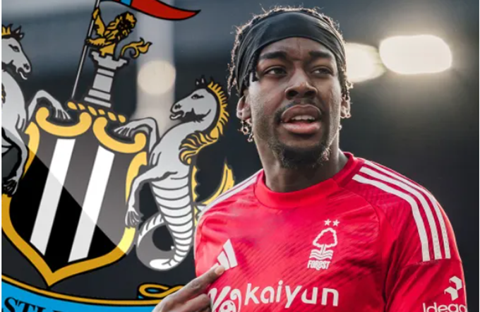 Newcastle United ráo riết nâng cấp đội hình, nhắm đến nhiều ngôi sao sáng