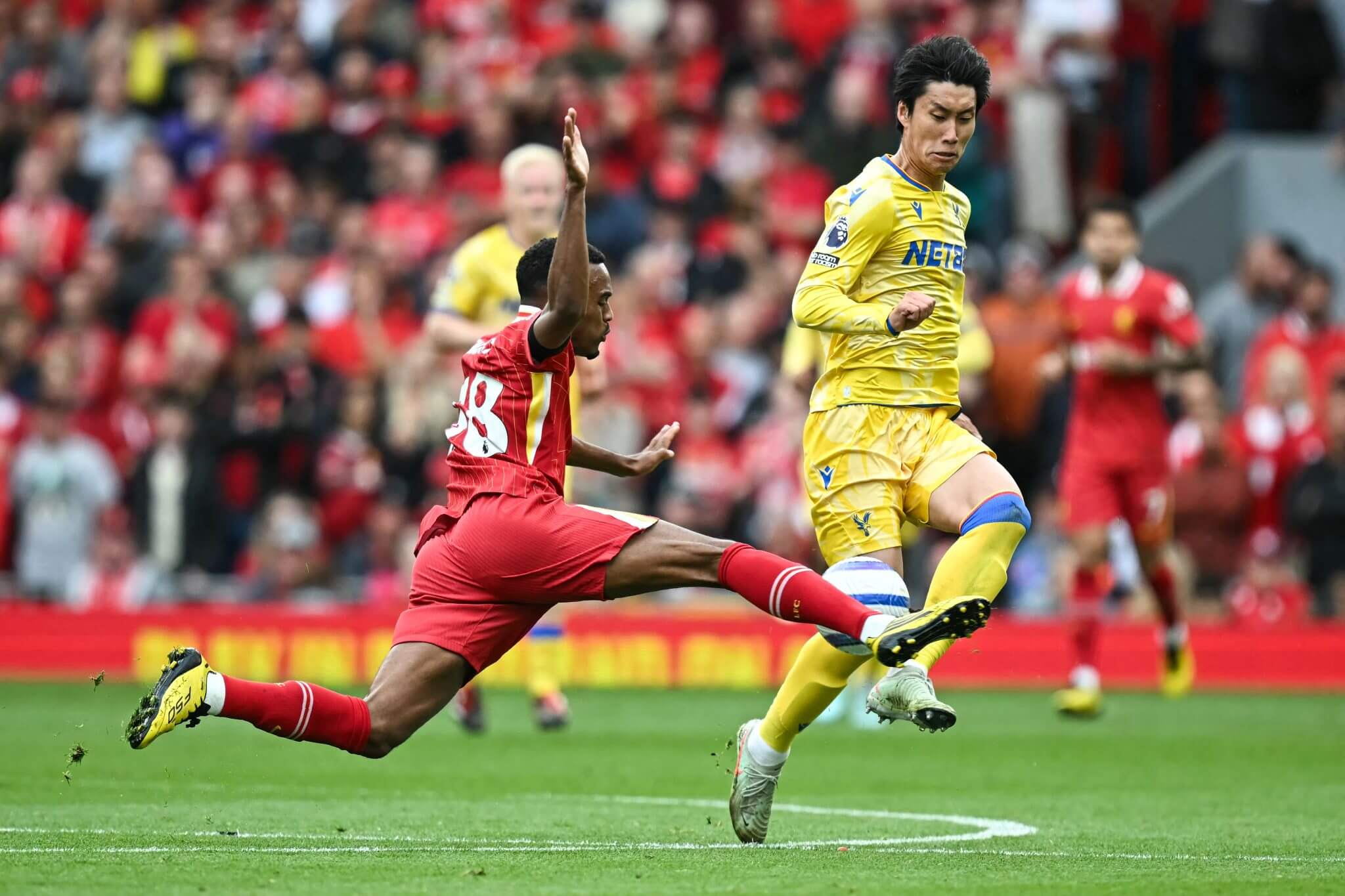 Liverpool phòng ngự kém Không thành vấn đề, Ryan Gravenberch đã trở lại! 1