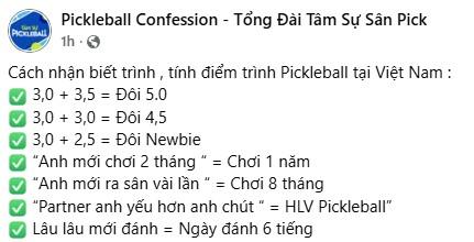 Bản xếp hạng pickleball Việt Nam tạo tranh luận